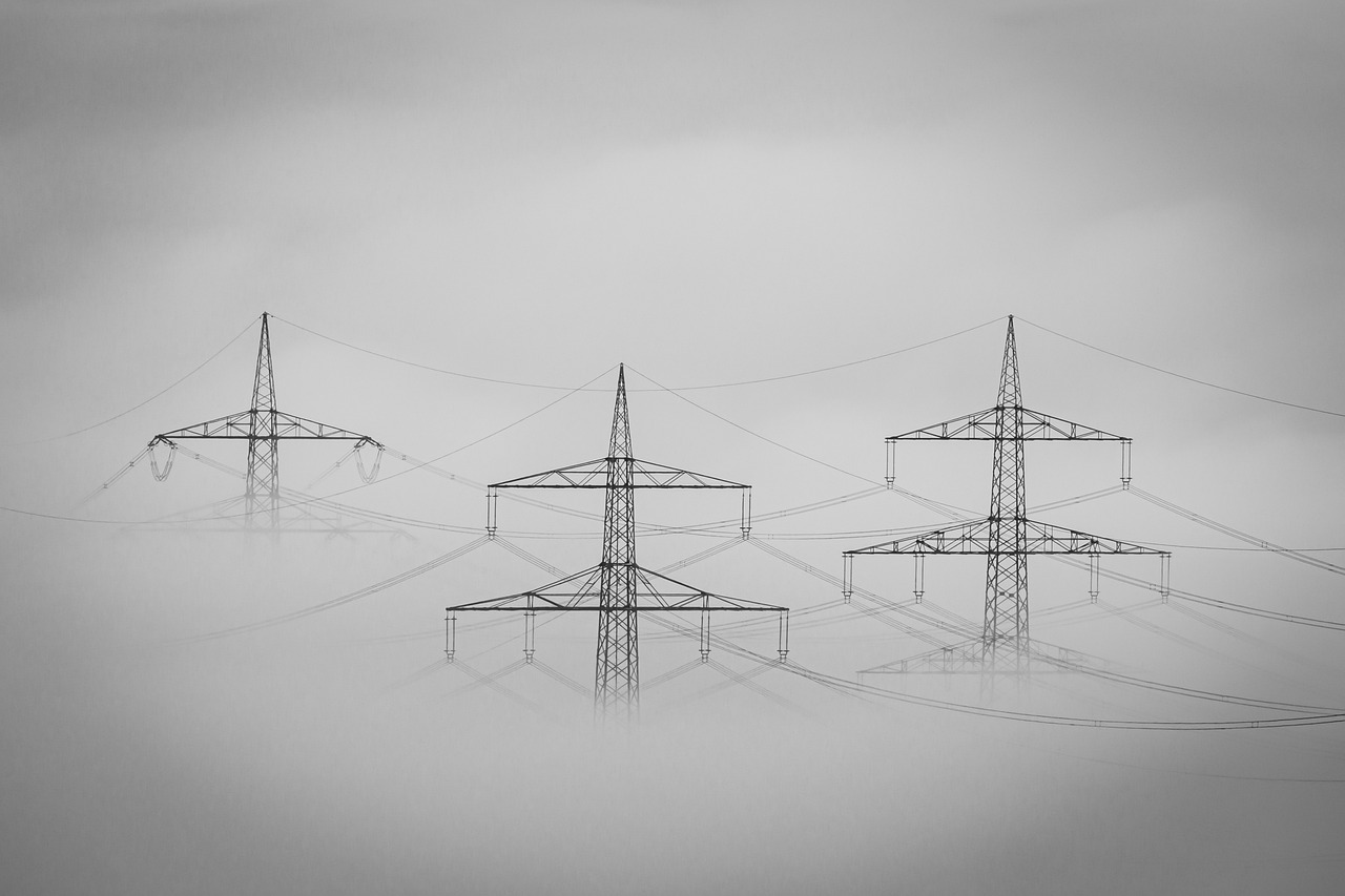 The Rise of Decentralized Autonomous Organizations (DAOs)